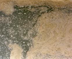 Use of float switches in sewage water